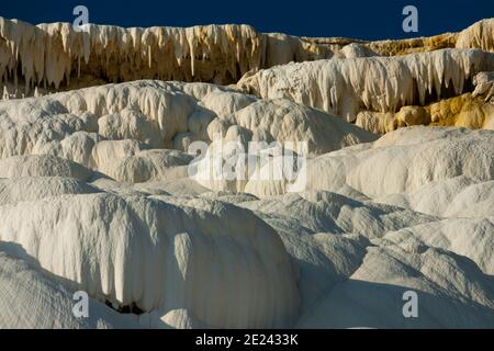 I depositi unici visti alle sorgenti calde di mammut sono come nessun altro che deriva da una temperatura più bassa di 165° F e da un flusso continuo di oltre 2 tonnellate di miniera Foto Stock