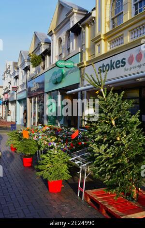 Una vista sulla strada dei negozi tradizionali lungo John Street nel centro della città a Natale. Alberi di Natale in vendita. Foto Stock