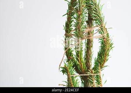 Suggerimenti per il facile riciclaggio o smaltimento dell'albero di Natale senza fare un pasticcio, rami asciutti avvolti con una corda Foto Stock