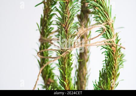 Suggerimenti per il facile riciclaggio o smaltimento dell'albero di Natale senza fare un pasticcio, rami asciutti avvolti con una corda Foto Stock