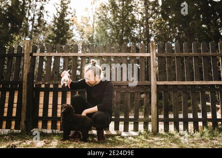 L'uomo gioca con il cane Foto Stock