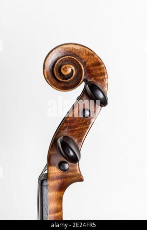 Closeup del rotolo, della scatola del piolo, dei pioli e della noce di un vecchio violino, su uno sfondo bianco Foto Stock