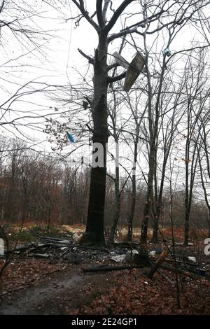 Kerpen, Germania. 12 gennaio 2021. Le parti in lamiera che appartenevano ad una casa ad albero sono appese in alto in un albero in Hambacher Forst dopo che la casa ad albero lì si è bruciata il lunedì sera. Un uomo è stato gravemente ferito nel fuoco. Secondo la polizia, è stato volato in ospedale con ustioni. Credit: David Young/dpa/Alamy Live News Foto Stock