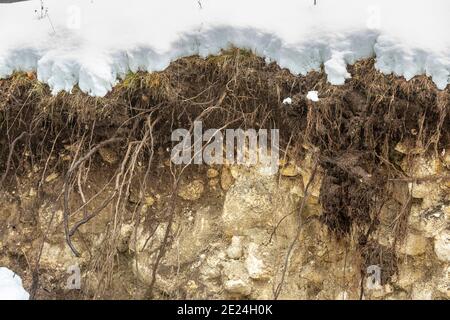 Riva del fiume erosa dall'acqua, coperta di neve e con le radici di piante ed erba esposte. Abruzzo, Italia, Europa Foto Stock