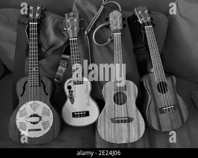 Itterbeck, bassa Sassonia, Germania - Giugno 2 2019 quattro Ukuleles diversi. Leho, Burks, Ortega, Ammoon in bianco e nero. Un uke è una piccola chitarra Foto Stock