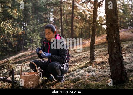 La donna la raccolta di funghi Foto Stock