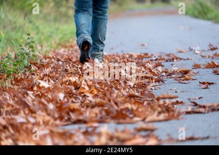 Piedi trekking stivali trekking attraverso autunno fogliame. Viaggiate da soli nella natura selvaggia all'aperto. Donna che cammina via sulla strada coperta con foglie di colore giallo marrone.Lifestyle viaggio concetto di sopravvivenza estrema. Passi vacanze avventura autunno. Foto di alta qualità Foto Stock