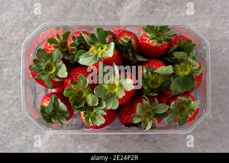 Fragole in confezione di plastica su fondo di pietra grigio Foto Stock