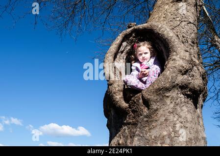 Ragazza seduta nella cavità di un albero, Italia Foto Stock