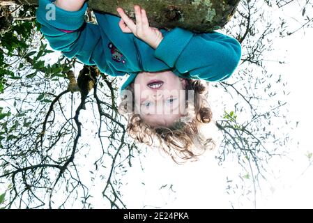 Ragazza che pende a testa in giù in un albero, Italia Foto Stock