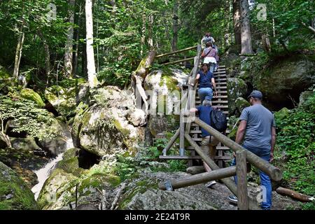 Yspertal, Austria - 25 agosto 2019: Camminatori non identificati lungo passerelle in legno nella gola di Ysperklamm, un monumento naturale nel waldviertel, una parte Foto Stock