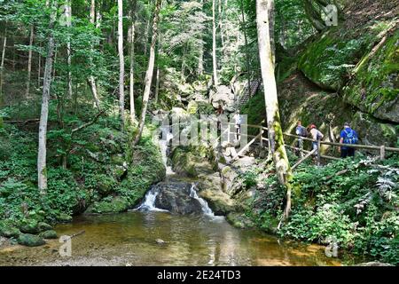 Yspertal, Austria - 25 agosto 2019: Camminatori non identificati lungo passerelle in legno nella gola di Ysperklamm, un monumento naturale nel waldviertel, una parte Foto Stock