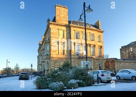 Alberi di Natale scartati che litterano il marciapiede a Park Gate Glasgow, Scozia. Foto Stock