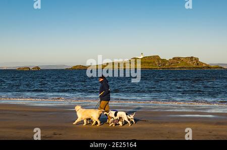 East Lothian, Scozia, Regno Unito, 12 gennaio 2021. Tempo in Gran Bretagna: Freddo giorno di sole sulla spiaggia di Yellowcraig. La gente nella contea sembra essere conforme con il messaggio di soggiorno a casa come l'ampia distesa di Broad Sands spiaggia è quasi deserta nonostante il bel tempo con Fidra Island nel Firth of Forth come un uomo cammina cani sulla beac Foto Stock