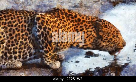 Il leopardo beve acqua dal fiume. Lavoro artistico sul tema degli animali Foto Stock