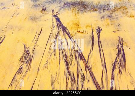 Motivi naturali nella sabbia . Bellissima spiaggia con disegni astratti Foto Stock