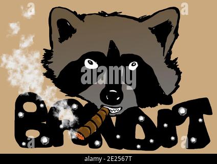 Bandit raccoon con sigaro Foto Stock