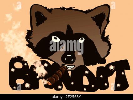 Vintage bandit raccoon con sigaro Foto Stock