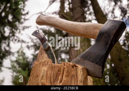 Chopper o ascia in piedi in verticale in un vecchio ceppo di albero all'aperto contro uno sfondo di bosco in primavera Foto Stock