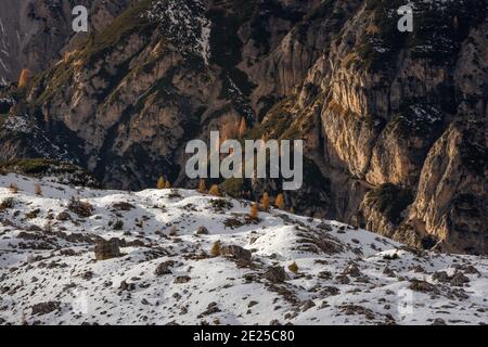 Una foto di alberi e rocce innevate, vicino a Cortina d'Ampezzo e alle tre Cime di Lavaredo, patrimonio dell'umanità dell'UNESCO nelle Dolomiti italiane Foto Stock