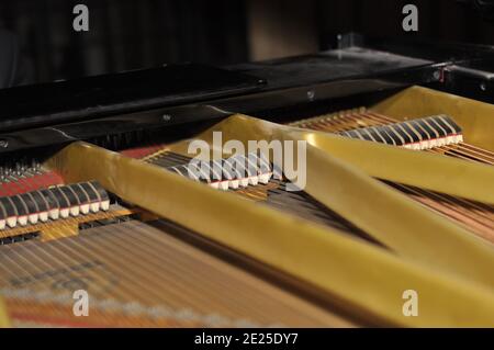 All'interno del pianoforte a coda. Vista ravvicinata dei martelli, delle corde all'interno del pianoforte. Foto Stock