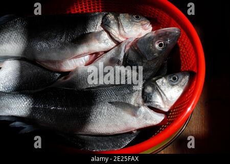 Spigola fresca in vendita al mercato del pesce. Francia. Foto Stock