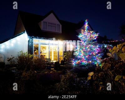 Albero di Natale nel giardino di fronte a una casa, Devon, Regno Unito Foto Stock