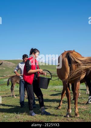 Mungitura di un mare. Cavalli per la produzione di latte, kumy e carne. Una fattoria tipica nella pianura di Suusamyr, un'alta valle dei Monti Tien Shan. Asia Foto Stock