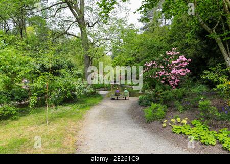 Una coppia seduta su una panchina che si affaccia su una piscina ai Bodnant Gardens, tal-y-Cafn, Conwy, Galles, Regno Unito Foto Stock