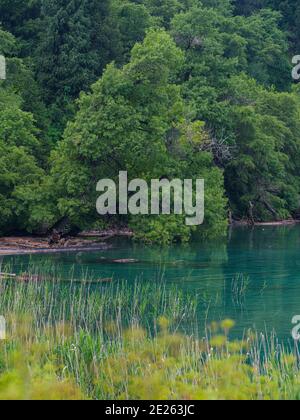 Lago Sary-Chelek nella riserva naturale Sary-Chelek (Sary-Tschelek), parte del patrimonio mondiale dell'UNESCO occidentale Tien Shan. Montagne di Tien Shan o hea Foto Stock