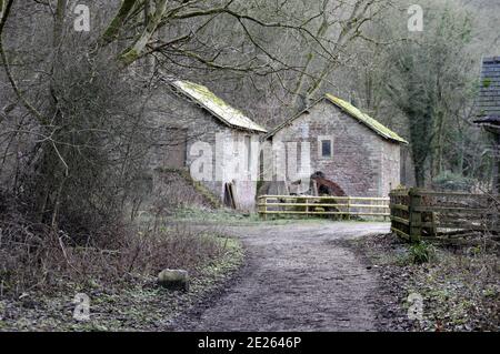 Mulino ad Ashford in acqua che era una bobina mulino per l'industria del cotone e anche una frantumazione delle ossa mulino Foto Stock