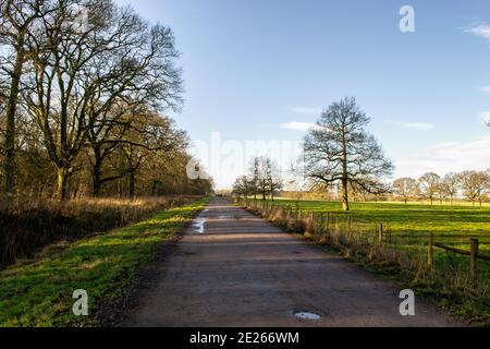 Percorso di campagna in Exton, Rutland, Inghilterra Foto Stock