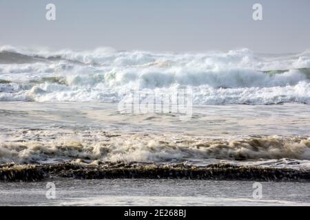 WA19097-00...WASHINGTON - navigazione a vento su Benson Beach nel Cape Disappensment state Park. Foto Stock