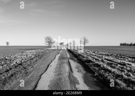 Percorso di campagna in Exton, Rutland, Inghilterra Foto Stock