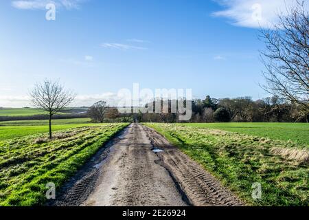 Percorso di campagna in Exton, Rutland, Inghilterra Foto Stock