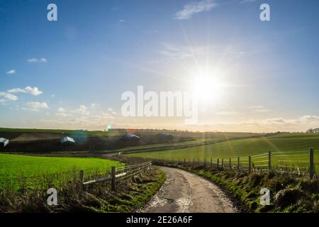 Percorso di campagna in Exton, Rutland, Inghilterra Foto Stock