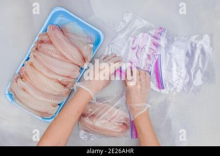 Le mani della donna mettono il filetto di pesce fresco di Tilapia in sacchetti con chiusura a zip per il congelamento, vista ravvicinata dall'alto Foto Stock