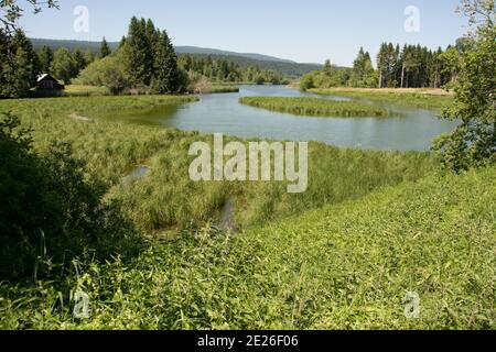 Der Mündungsbereich der Orbe in den Lac de Joux, ein Flachmoor von Nationaler Bedeutung Foto Stock