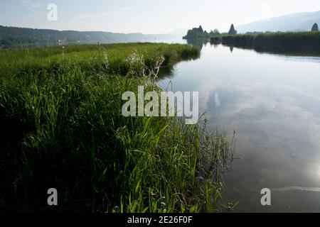 Der Mündungsbereich der Orbe in den Lac de Joux, ein Flachmoor von Nationaler Bedeutung Foto Stock