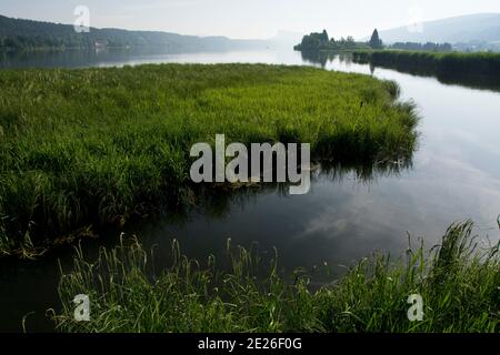 Der Mündungsbereich der Orbe in den Lac de Joux, ein Flachmoor von Nationaler Bedeutung Foto Stock