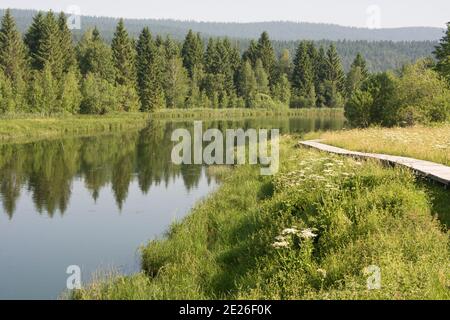 Der Mündungsbereich der Orbe in den Lac de Joux, ein Flachmoor von Nationaler Bedeutung Foto Stock