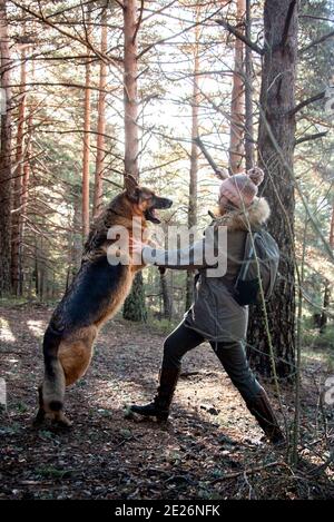 Giovane ragazza che gioca e lotta con un grande cane dentro la foresta in inverno Foto Stock