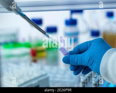 DNA, Scientist pipettando un campione di DNA in una fiala pronta per l'analisi. Foto Stock