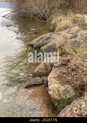 Immagine verticale di un fiume con grandi pietre e alberi riflessa sull'acqua durante il giorno Foto Stock