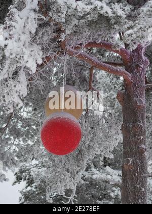 Grandi giocattoli di Natale sull'albero, decorazioni di Natale Foto Stock