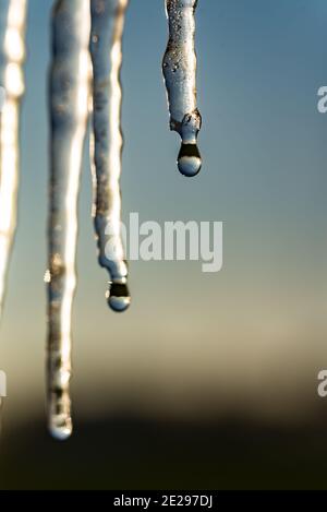 Fusione di iciclette nei raggi del sole che tramonta. Il riflesso dell'orizzonte in gocce d'acqua in caduta. Cambiamento di tempo e di temperatura in inverno. Foto Stock