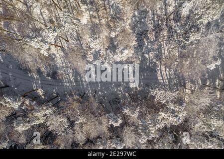 Sentiero invernale che conduce attraverso una foresta bianca e innevata catturata da un drone direttamente dall'alto - vista dall'alto verso il basso. Foto Stock