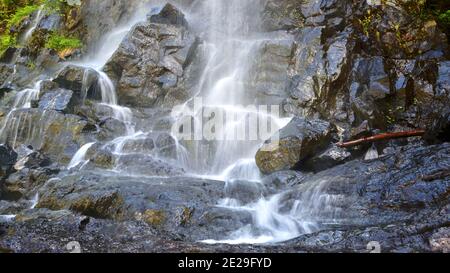 Vie d'acqua nel Parco Provinciale di Strathcona Foto Stock