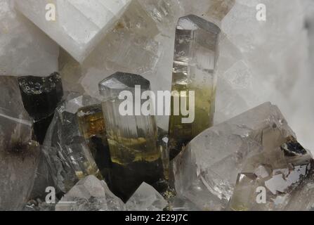 Elbaite - Grotta d'oggi, San Piero in campo, campo nell'Elba, Provincia di Livorno, Toscana, Italia - Gruppo di due cristalli di Elbaite di 4.26 e 6.08 mm Foto Stock