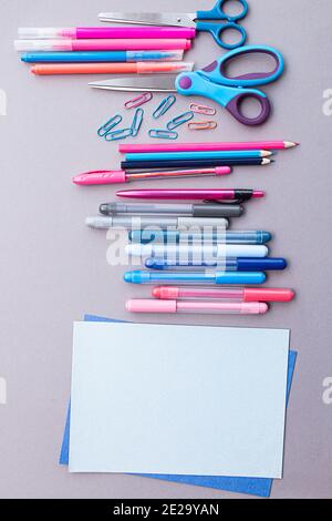 Varie cartoleria in rosa e blu, fogli bianchi di carta, su sfondo